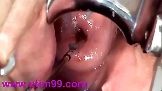 Asian Porn 8